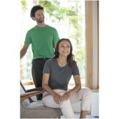 Heros heren t-shirt met korte mouwen - Gemêleerd grijs - XXS