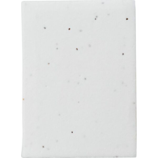 Notitieblaadjes Patricia | Zaadpapier | 6 stuks