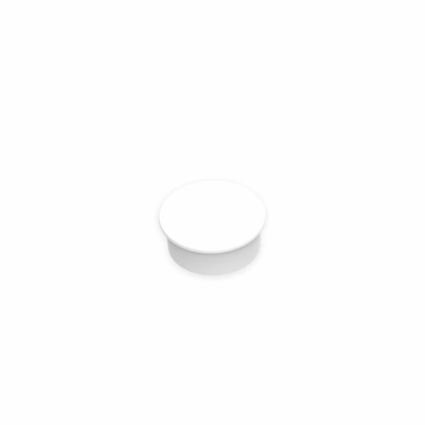 Whiteboard Magnet Small wit