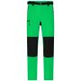 Men's Trekking Pants fern-green/black S
