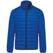 light royal blue