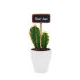 Tiny Greenz with ChalkNotes, Zonder verpakking, Cacti mix