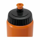 Sugarcane Bio Bidon 750 ml