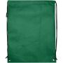 Evergreen GRS gerecyclede non woven koordzak 5 l - Groen