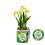 TinGreenz large - Spring edition
