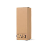 VINGA Cael RCS SS drinkfles 600ML, zwart