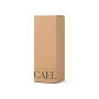 VINGA Cael RCS SS drinkfles 600ML, zwart