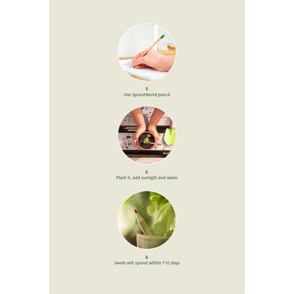 Sproutworld Set: Sharpened Pencil & Header Card angespitzte Bleistift - holz Sproutworld Set: Sharpened Pencil & Header Card angespitzte Bleistift - holz