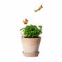 Sproutworld Unsharpened Pencil potlood