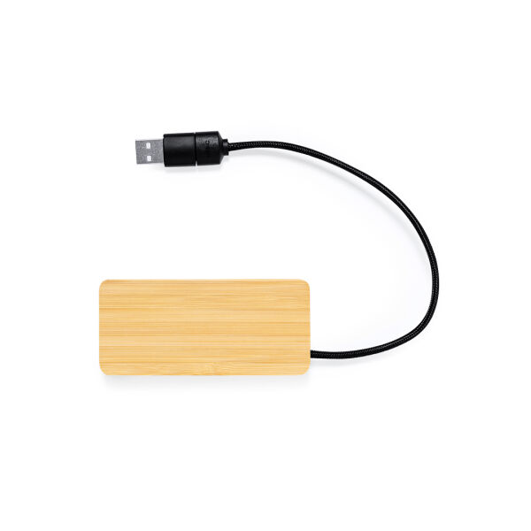 USB Hub Ginger - S/C - S/T