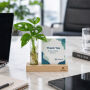 Hydroponic plants - Cardholder & tube Hydroponic plants - Cardholder & tube