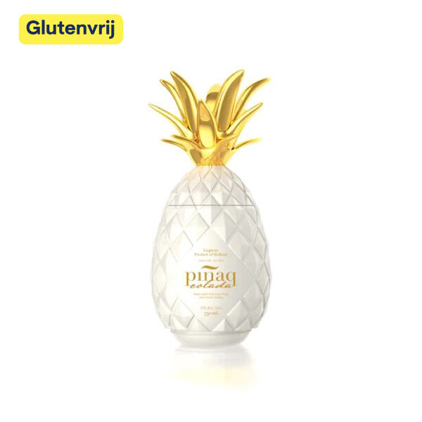 Pinaq Colada Likeur 1l