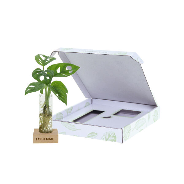 Hydroponic plants - Single tube & wood Hydroponic plants - Single tube & wood