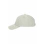 6 Panel Workwear Cap RCS cement one size