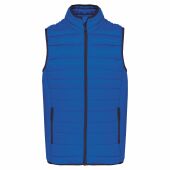light royal blue