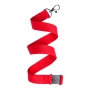 Savent - lanyard
