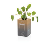 Avira Alya RCS gerecycled roestvrijstalen beker 300ML, groen