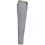 Broek DayToDay Silver S
