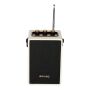 BRAINZ Retro Speaker Wit