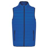 light royal blue