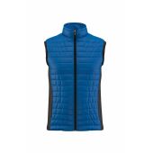royal blue/black