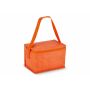R-PET koeltas voor 6 blikjes, non-woven, 20 x 13 x 12,5 cm, 75 g/m² - Oranje R-PET koeltas voor 6 blikjes, non-woven, 20 x 13 x 12,5 cm, 75 g/m² - Oranje