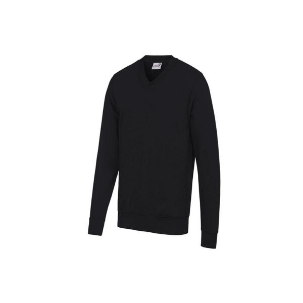 Senior V Neck Sweatshirt