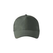 castor grey