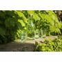 Sevilla Stapelbaar Gerecycled Waterglas 270 ml - transparant