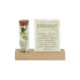 Dried Flowers - Cardholder & tube, Wit