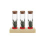 Tiny Treasurez® - Trio tube & wood, Rood
