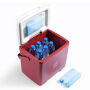 Brisby Koelbox - Frigobox - 13L - Rood - Tot maximaal 40 uur isolatie - Incl. 2 dikke koelelementen van 450ml - Temperatuur veilige sluiting - Nieuw ontwerp met koelelement vergrendeld in deksel