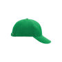 6 Panel Raver Cap Laminated fern green one size
