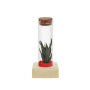 Tiny Treasurez® - Single tube & wood, Rood