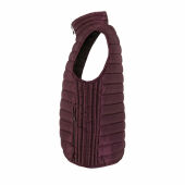 STREAM BW MEN - STREAM HEREN Bodywarmer - XXL - Burgundy
