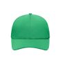 6 Panel Sport Mesh Cap green one size