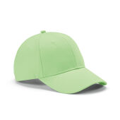 Lichtgroen