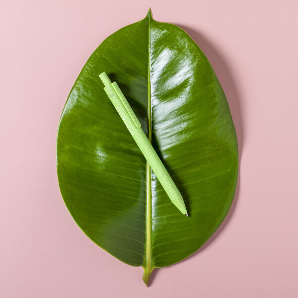 Pen Harry - AZUL - S/T Pen Harry - AZUL - S/T