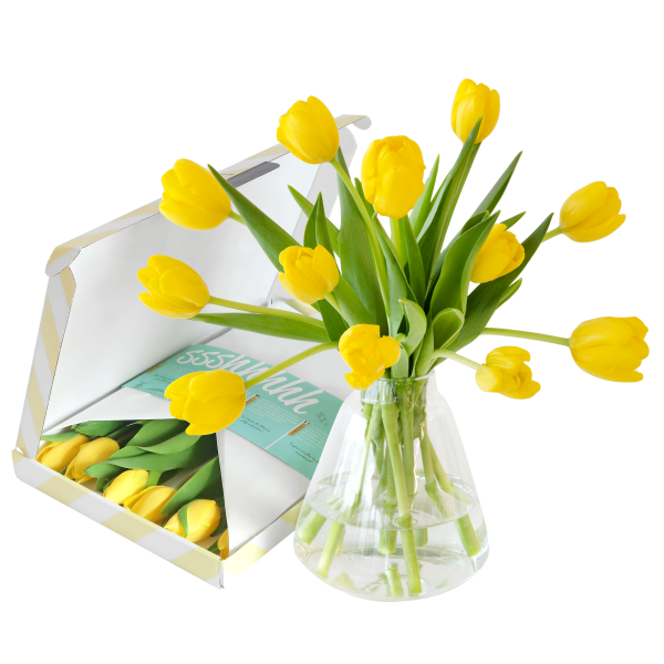 BLOEMPOST | Gele Tulpen | Origineel bedankcadeau 