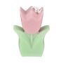 JENS Living Tulp Kaarsen Geel/Paars /2