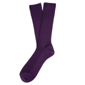 Deep Plum