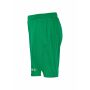 Evolve 2.0 Shorts Jr Team Green 122/128