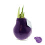 No Water Flowers® - Parfumz, In giftbox, Lavendel (paars)