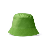 lichtgroen