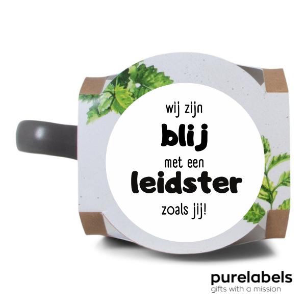 Mok groei je eigen muntthee | Dag van de leidster cadeau