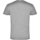 Samoyedo herenshirt met V-hals en korte mouwen - Gemêleerd grijs - 3XL