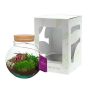 Wardians® Ecosystem - Bowl medium, Zonder verpakking