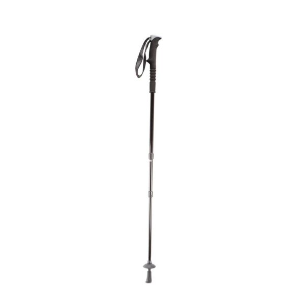 Wandelstok