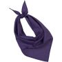 Fiesta - Bandana purple one size