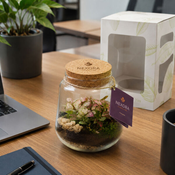 Wardians® Ecosystem - Conical medium, Zonder verpakking Wardians® Ecosystem - Conical medium, Zonder verpakking